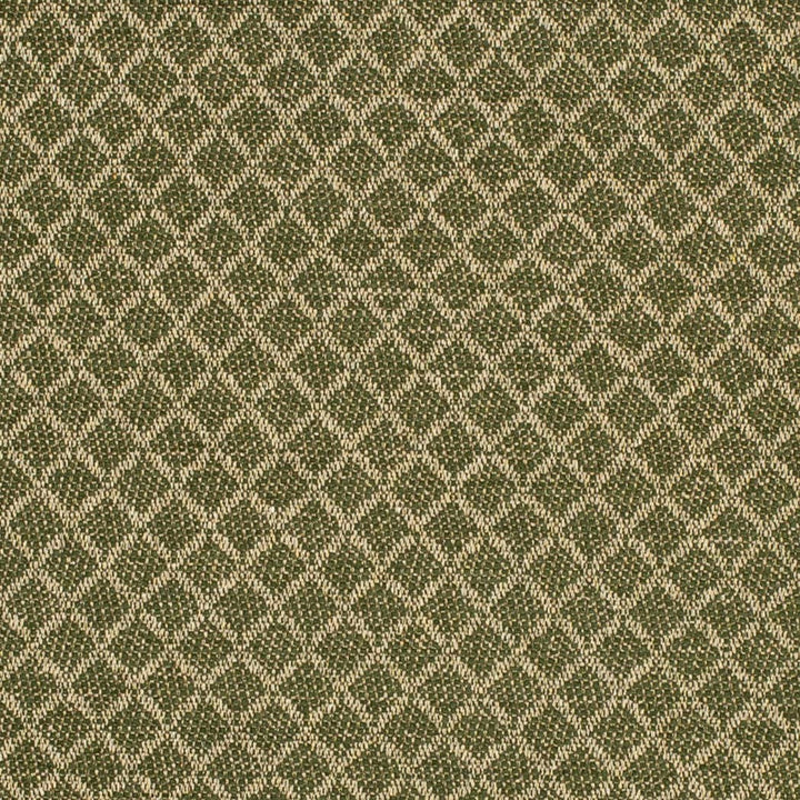 F400-181 by Charlotte Designer Fabric Cypress 52% Recycled Polyester, 26% Polyester, 22% Recycled Cotton USA </p><p>Repeat: Horizontal 1" x Vertical 1" 54 Inches - Swanky Fabrics -