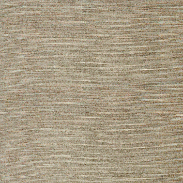 F4063 Fawn by Greenhouse Designer Fabric F04: Performance Neutral 100% Polyester China 60,000 double rubs Performance </p><p>Repeat: None 56" - Swanky Fabrics -