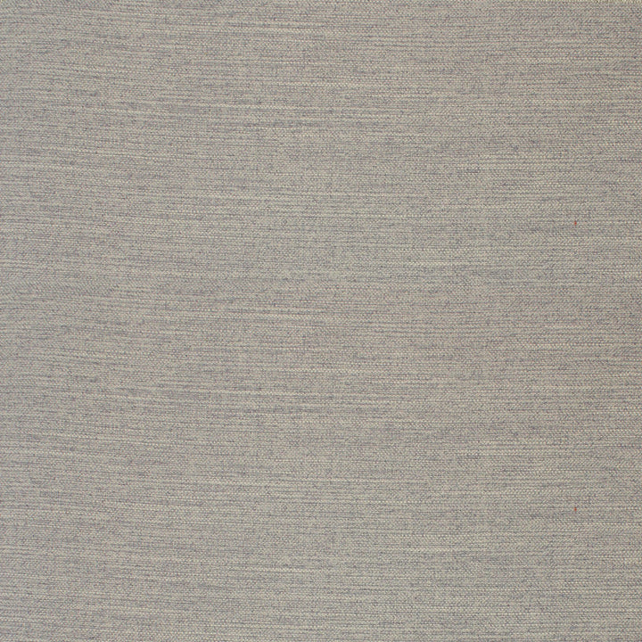 F4071 Ash by Greenhouse Designer Fabric 100% Polyester China 60,000 </p><p>Repeat: None 56" - Swanky Fabrics -