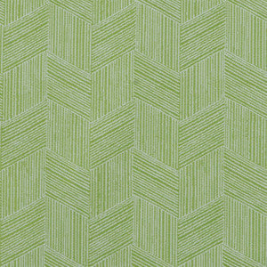 Greenhouse Fabric F4141 Kiwi
