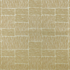 Greenhouse Fabric F4147 Wicker