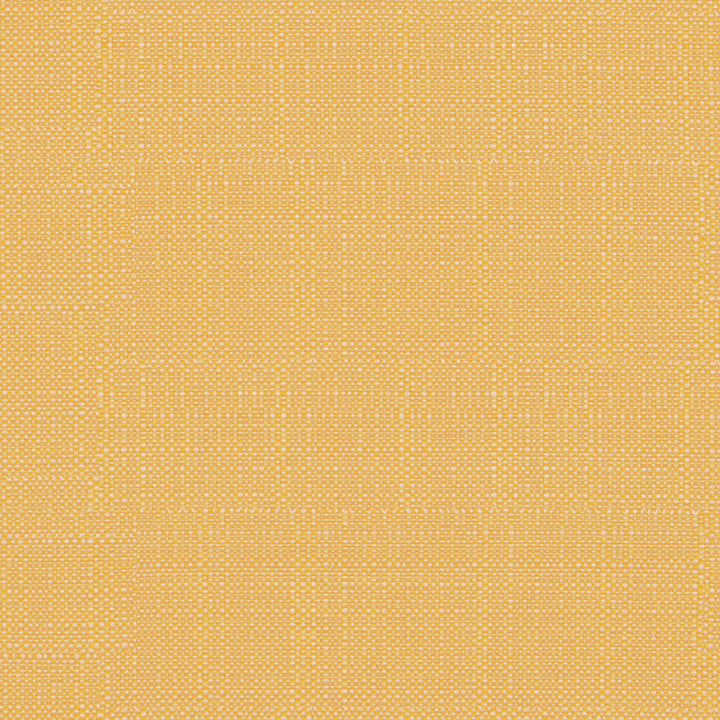 F4170 Daffodil by Greenhouse Designer Fabric F06: Outdoor 62% Polypropylene, 38% Polyester 2,000 Light Hours Mexico 38,000 double rubs Water Repellent </p><p>Repeat: .5" H, .5" V 54" - Swanky Fabrics -