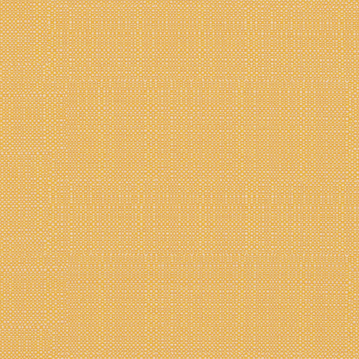 F4170 Daffodil by Greenhouse Designer Fabric 62% Polypropylene, 38% Polyester
 2,000 Light Hours Mexico 38,000 </p><p>Repeat: .5" H, .5" V 54" - Swanky Fabrics -