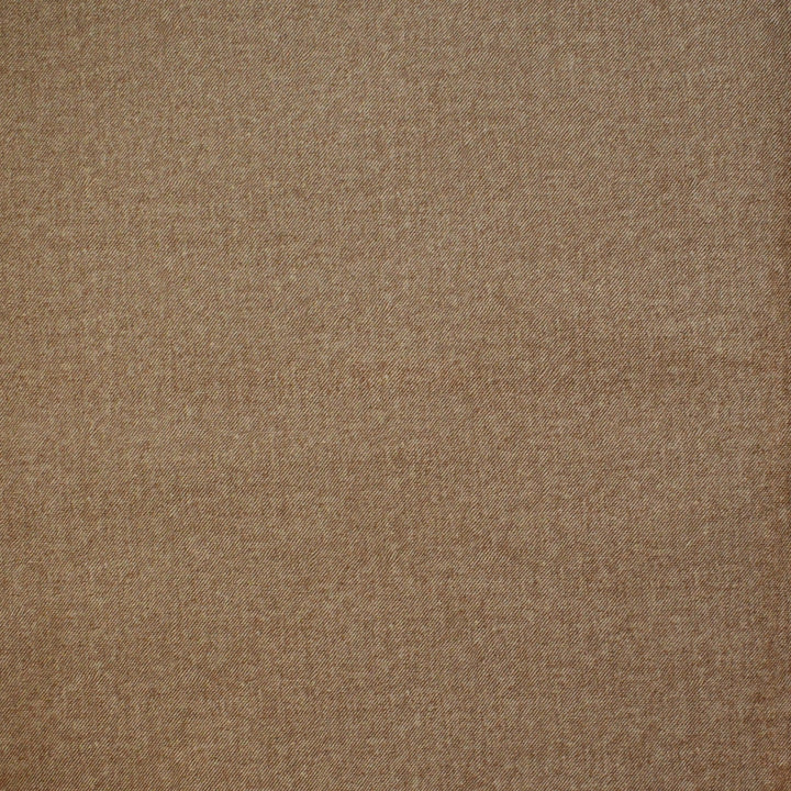 F4199 Sandy Brown by Greenhouse Designer Fabric F07: Value Plush 100% Polyester China 100,000 double rubs </p><p>Repeat: None 55" - Swanky Fabrics -