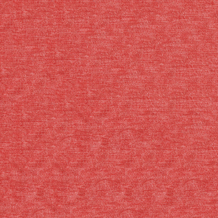 F4212 Gladiola by Greenhouse Designer Fabric F07: Value Plush 65% Polyester, 35% Viscose China 60,000 double rubs </p><p>Repeat: No Definite Repeat 56" - Swanky Fabrics -