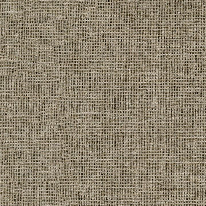 F4273 Truffle by Greenhouse Designer Fabric 100% Polyester China 45,000 </p><p>Repeat: None 57" - Swanky Fabrics -