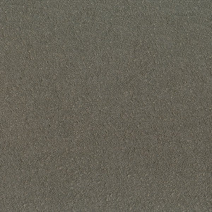 Greenhouse Fabric F4318 Zinc