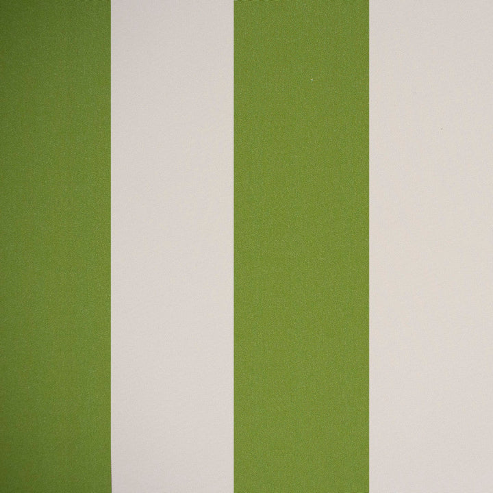 F4510 Fern by Greenhouse Designer Fabric F15: Outdoor 100% Solution-Dyed Polyester 1,000 Light Hours China 150,000 double rubs Endurepel </p><p>Repeat: 6.07" H 54" - Swanky Fabrics -