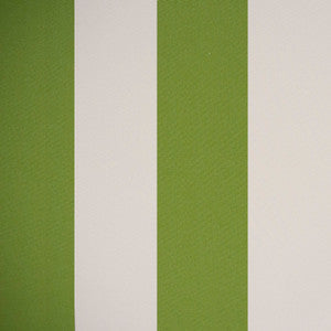 Greenhouse Fabric F4510 Fern