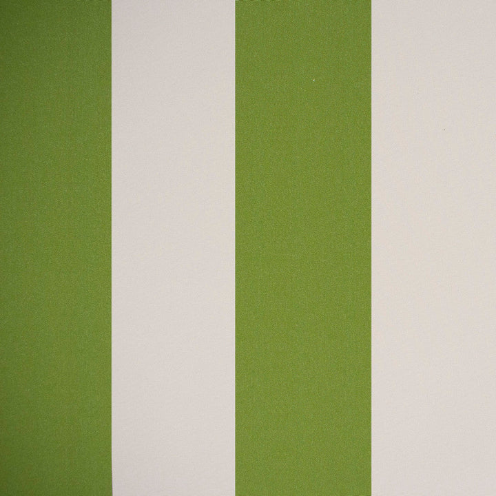 F4510 Fern by Greenhouse Designer Fabric 100% Solution-Dyed Polyester
 1,000 Light Hours China 150,000 </p><p>Repeat: 6.07" H 54" - Swanky Fabrics -