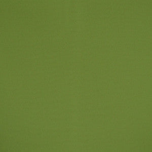 Greenhouse Fabric F4523 Spring