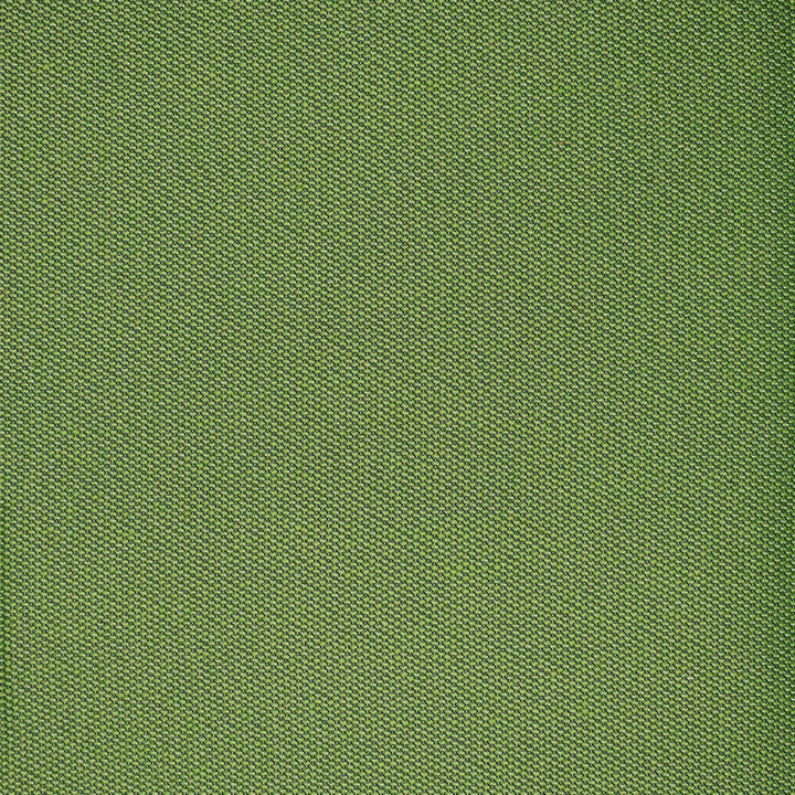 F4525 Grass by Greenhouse Designer Fabric 100% Solution-Dyed Polyester
 1,000 Light Hours China 150,000 </p><p>Repeat: None 54" - Swanky Fabrics -