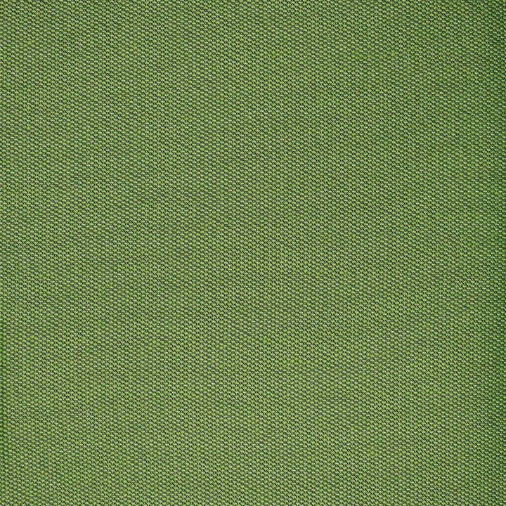 F4525 Grass by Greenhouse Designer Fabric F15: Outdoor 100% Solution-Dyed Polyester 1,000 Light Hours China 150,000 double rubs Endurepel </p><p>Repeat: None 54" - Swanky Fabrics -