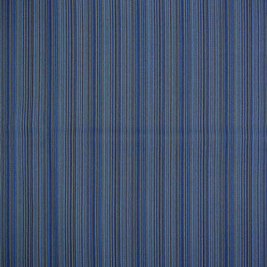 Greenhouse Fabric F4532 River
