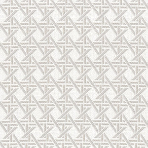 Greenhouse Fabric F4582 Cement
