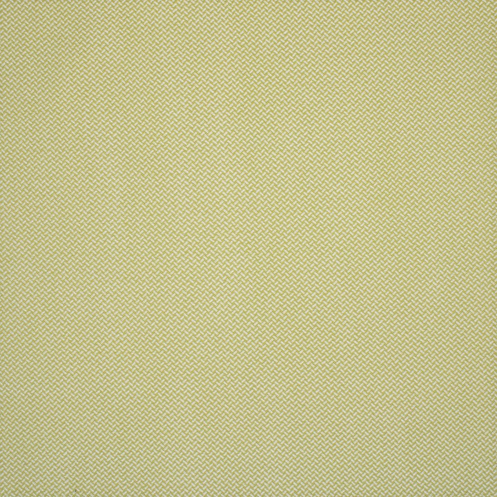 F4592 Spring by Greenhouse Designer Fabric 100% Solution-Dyed Polyester China 80,000 </p><p>Repeat: None 56" - Swanky Fabrics -