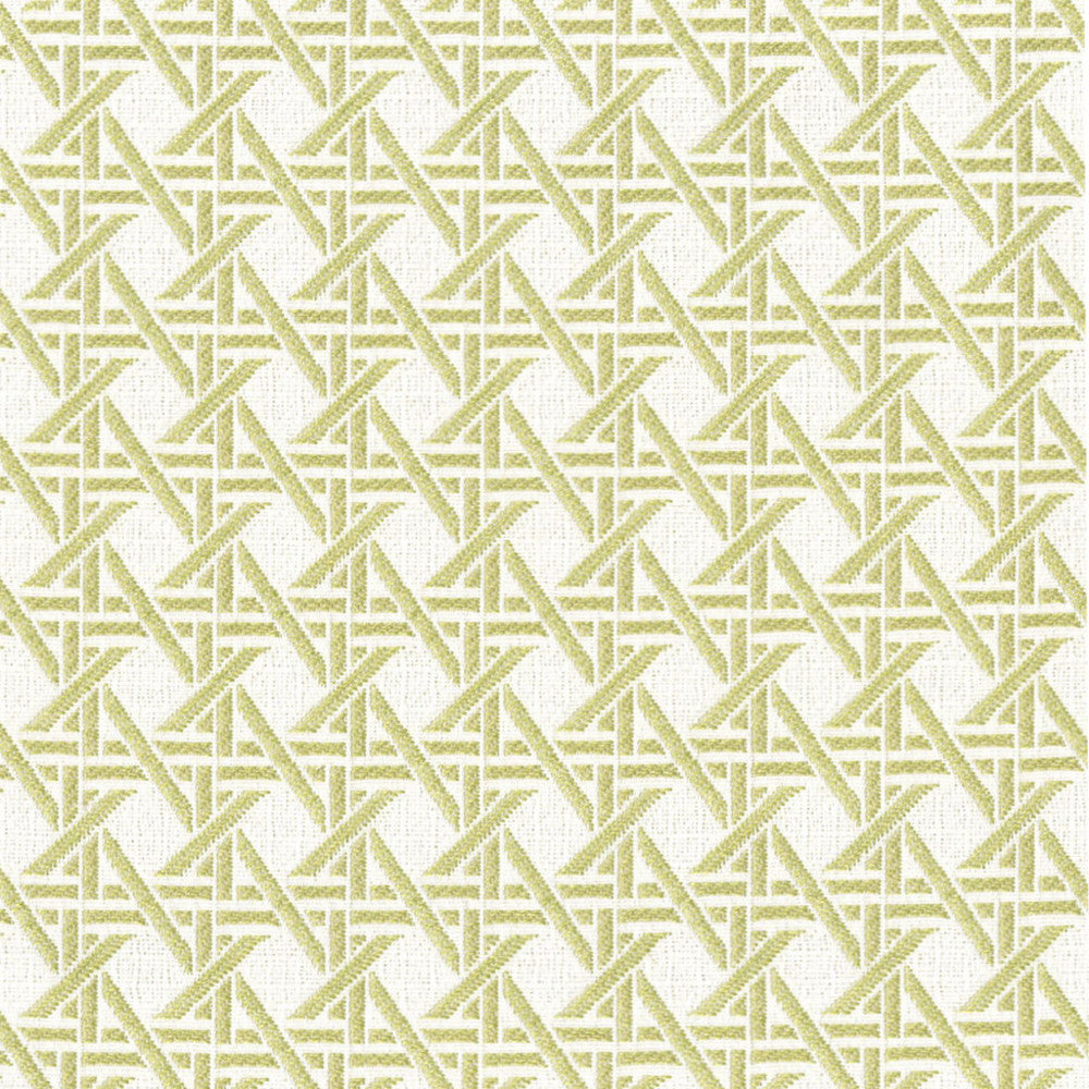 F4595 Fern by Greenhouse Designer Fabric 100% Solution-Dyed Polyester China 50,000 </p><p>Repeat: 1.23" H, 1.23" V 56" - Swanky Fabrics -