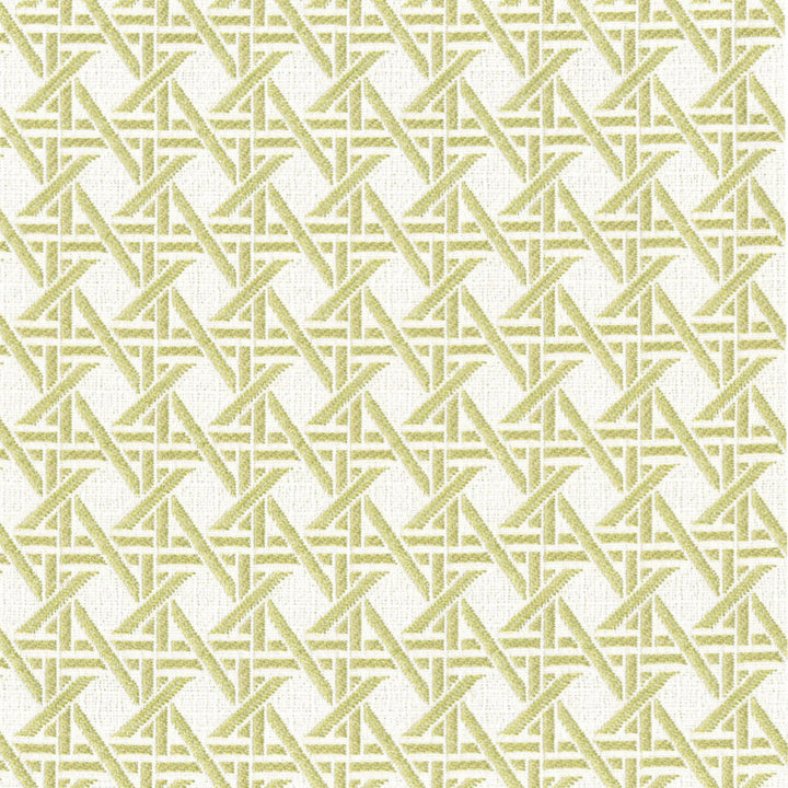 F4595 Fern by Greenhouse Designer Fabric 100% Solution-Dyed Polyester China 50,000 </p><p>Repeat: 1.23" H, 1.23" V 56" - Swanky Fabrics -