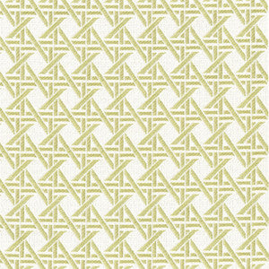 Greenhouse Fabric F4595 Fern