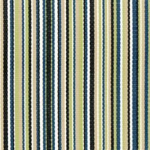 Greenhouse Fabric F4597 River
