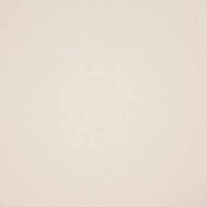 Greenhouse Fabric F4613 Cloud
