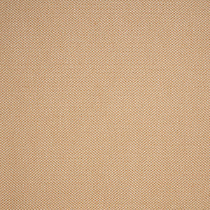 Greenhouse Fabric F4619 Vienna
