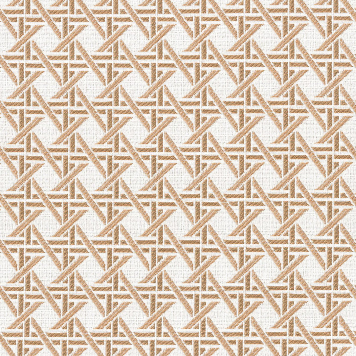 F4620 Canyon by Greenhouse Designer Fabric 100% Solution-Dyed Polyester China 50,000 </p><p>Repeat: 1.23" H, 1.23" V 56" - Swanky Fabrics -