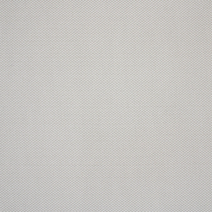 F4629 Mist by Greenhouse Designer Fabric 100% Solution-Dyed Polyester China 80,000 </p><p>Repeat: None 56" - Swanky Fabrics -