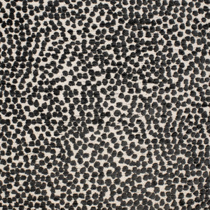Greenhouse Fabric F4743 Domino