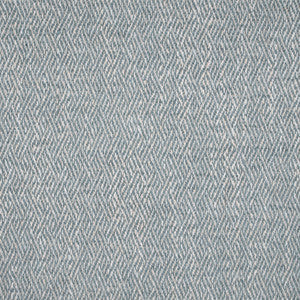 Greenhouse Fabric F4770 Sky