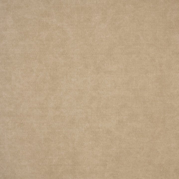 F4887 Dust by Greenhouse Designer Fabric 100% Polyester China 30,000 </p><p>Repeat: None 54" - Swanky Fabrics -