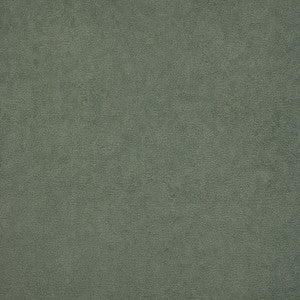 Greenhouse Fabric F4900 Coast