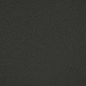 Greenhouse Fabric F4915 Charcoal