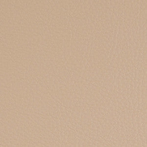 Greenhouse Fabric F4948 Latte