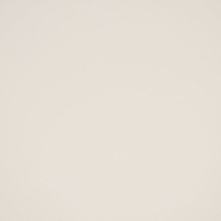 F4960 Snow by Greenhouse Designer Fabric Face: 100% Pvc, Back: Polyester Knit Thailand 60,000 </p><p>Repeat: None 54" - Swanky Fabrics -
