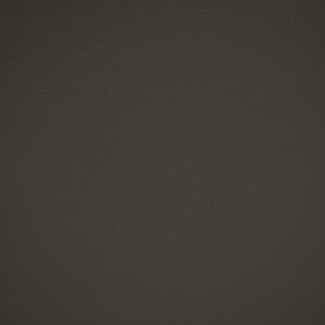 Greenhouse Fabric F4976 Slate