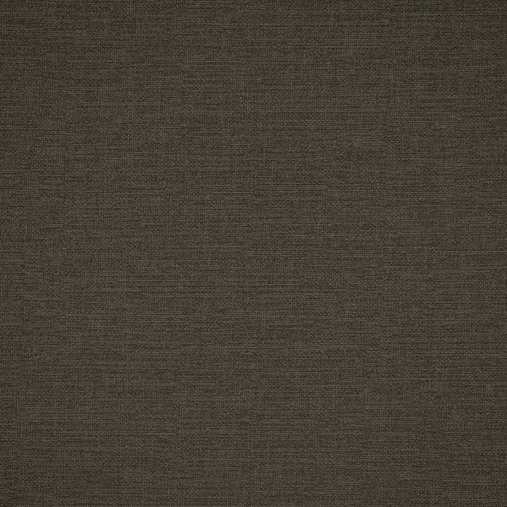 F4977 Iron by Greenhouse Designer Fabric Face: 100% Pvc, Back: 100% Polyester China 100,000 </p><p>Repeat: None 54" - Swanky Fabrics -