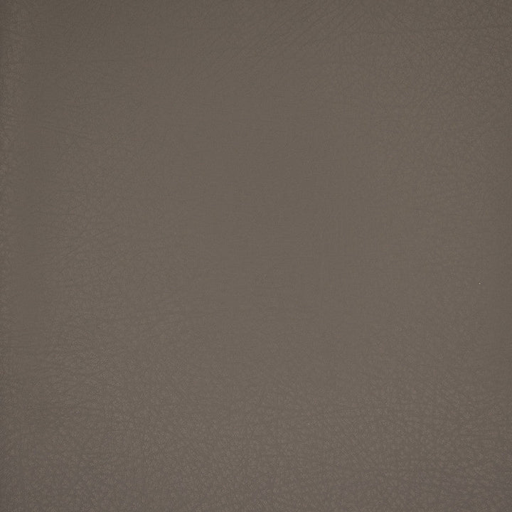 F4980 Oxford by Greenhouse Designer Fabric Face: 100% Pu, Back: 100% Polyester China 100,000 </p><p>Repeat: None 54" - Swanky Fabrics -