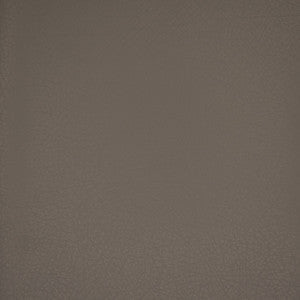 Greenhouse Fabric F4980 Oxford