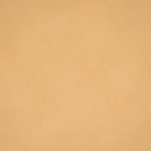Greenhouse Fabric F4982 Cream