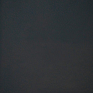 Greenhouse Fabric F4985 Atlantic