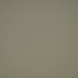 Greenhouse Fabric F4989 Fog