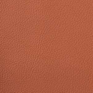 Greenhouse Fabric F4995 Persimmon