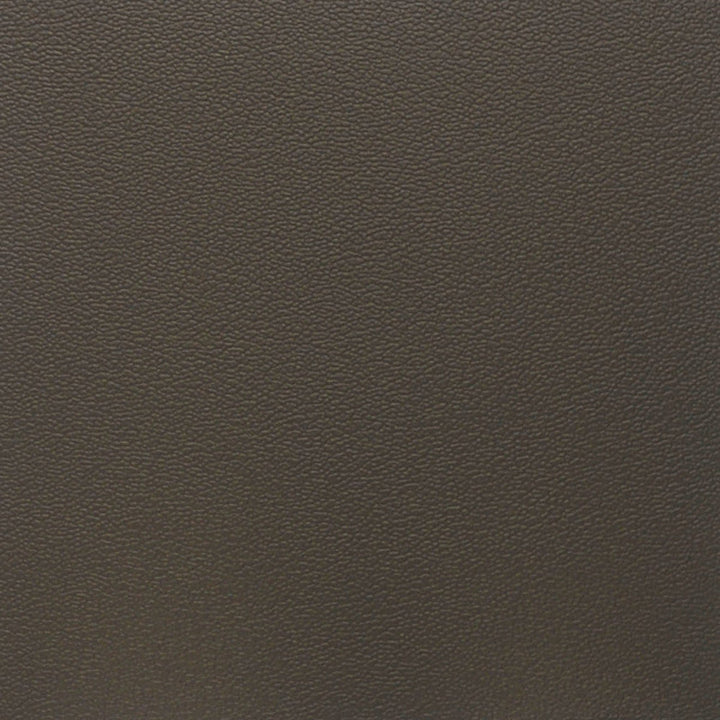 F5021 Mocha by Greenhouse Designer Fabric Face: 100% Pvc, Back: 100% Polyester China 250,000 </p><p>Repeat: None 54" - Swanky Fabrics -