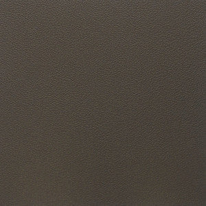 Greenhouse Fabric F5021 Mocha