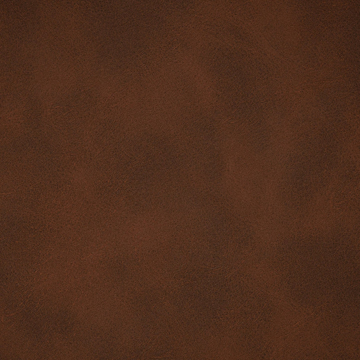 F5023 Beaver by Greenhouse Designer Fabric Face: 100% Pvc, Back: 100% Polyester China 100,000 </p><p>Repeat: None 54" - Swanky Fabrics -