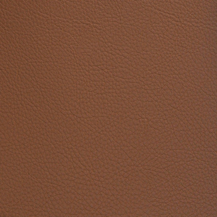 F5026 Rodeo by Greenhouse Designer Fabric Face: 100% Pvc, Back: 100% Polyester Taiwan 500,000 </p><p>Repeat: None 54" - Swanky Fabrics -