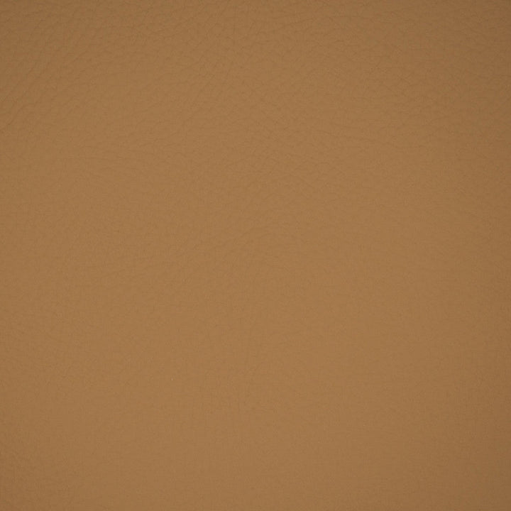 F5029 Buckskin by Greenhouse Designer Fabric Face: 100% Pvc, Back: 100% Polyester Thailand 1,300,000 </p><p>Repeat: None 54" - Swanky Fabrics -