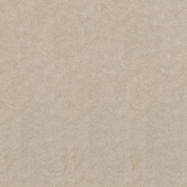 F5050 Flax by Greenhouse Designer Fabric 100% Vinyl, Backing: 100% Polyester China 1,500,000 </p><p>Repeat: None 54" - Swanky Fabrics -