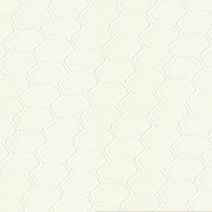 Greenhouse Fabric F5052 White